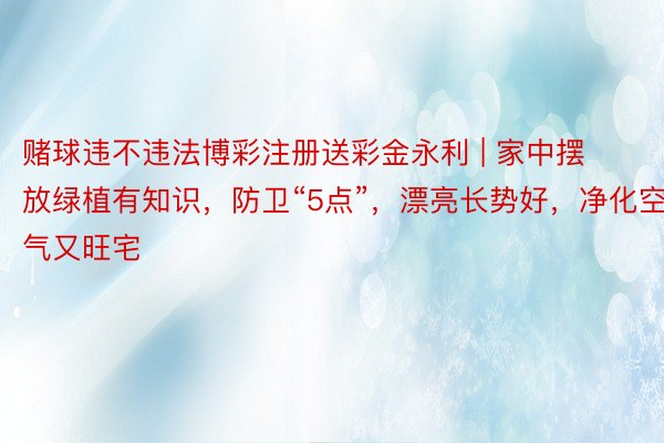 赌球违不违法博彩注册送彩金永利 | 家中摆放绿植有知识，防卫“5点”，漂亮长势好，净化空气又旺宅