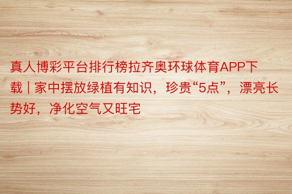 真人博彩平台排行榜拉齐奥环球体育APP下载 | 家中摆放绿植有知识，珍贵“5点”，漂亮长势好，净化空气又旺宅