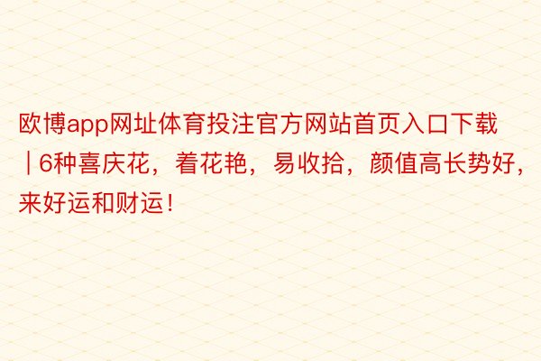 欧博app网址体育投注官方网站首页入口下载 | 6种喜庆花，着花艳，易收拾，颜值高长势好，带来好运和财运！