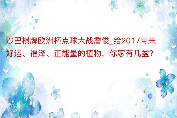 沙巴棋牌欧洲杯点球大战詹俊_给2017带来好运、福泽、正能量的植物，你家有几盆？